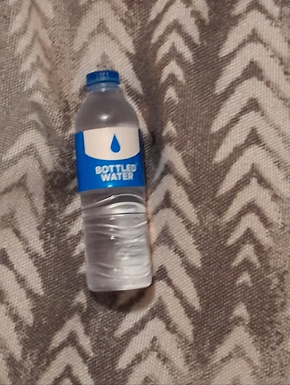 5/$10 Mini Brands Fill The Fridge Waterbottle